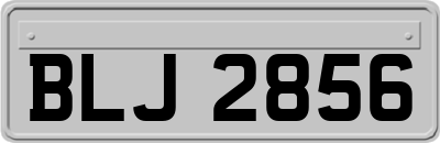 BLJ2856