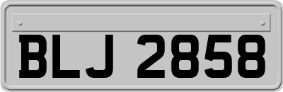 BLJ2858