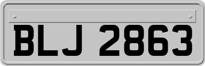 BLJ2863
