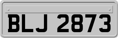 BLJ2873