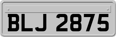 BLJ2875