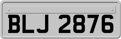 BLJ2876