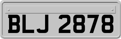 BLJ2878