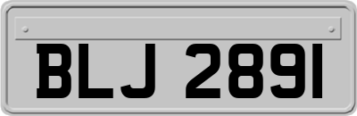 BLJ2891