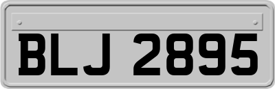 BLJ2895