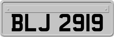 BLJ2919