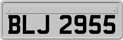 BLJ2955