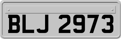 BLJ2973