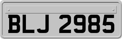 BLJ2985