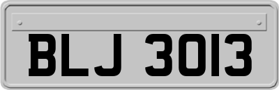 BLJ3013