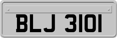 BLJ3101