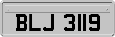 BLJ3119