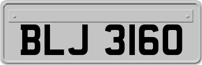 BLJ3160