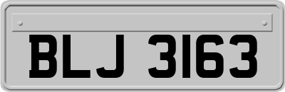 BLJ3163