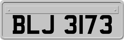 BLJ3173
