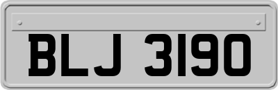 BLJ3190