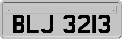 BLJ3213