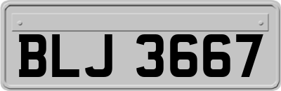 BLJ3667