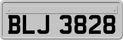 BLJ3828