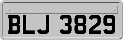 BLJ3829