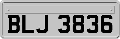 BLJ3836