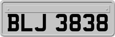 BLJ3838