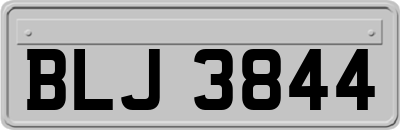 BLJ3844
