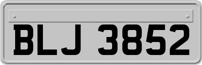 BLJ3852