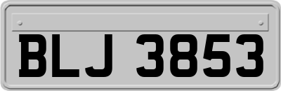 BLJ3853