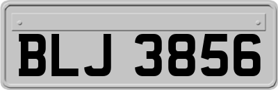 BLJ3856