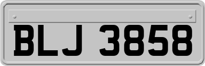 BLJ3858