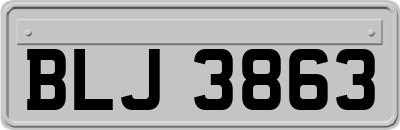 BLJ3863