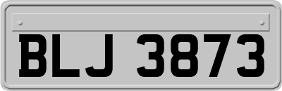 BLJ3873