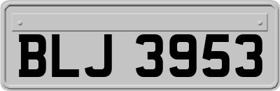 BLJ3953
