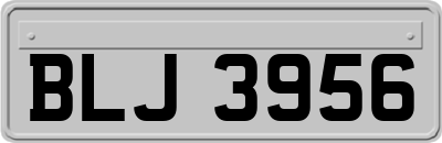 BLJ3956