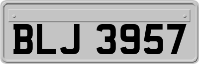 BLJ3957
