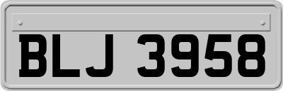 BLJ3958