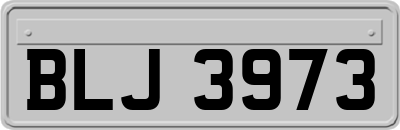 BLJ3973