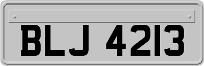 BLJ4213