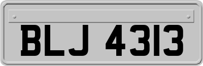 BLJ4313
