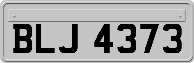 BLJ4373