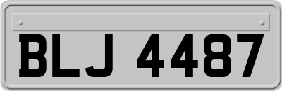 BLJ4487