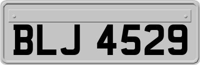 BLJ4529