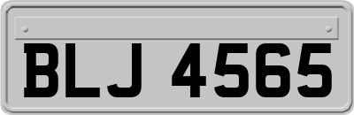 BLJ4565