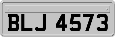 BLJ4573