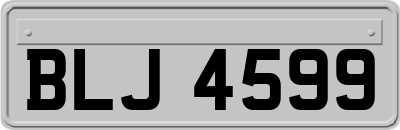 BLJ4599