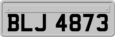 BLJ4873