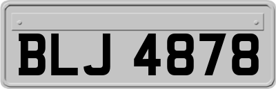 BLJ4878