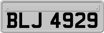 BLJ4929