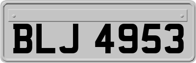 BLJ4953